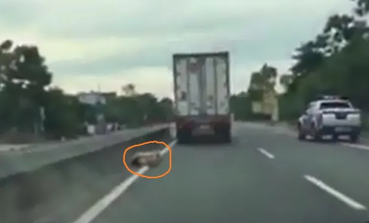 Tài xế xe container hất văng thượng úy công an xuống đường mong được thông cảm ảnh 6