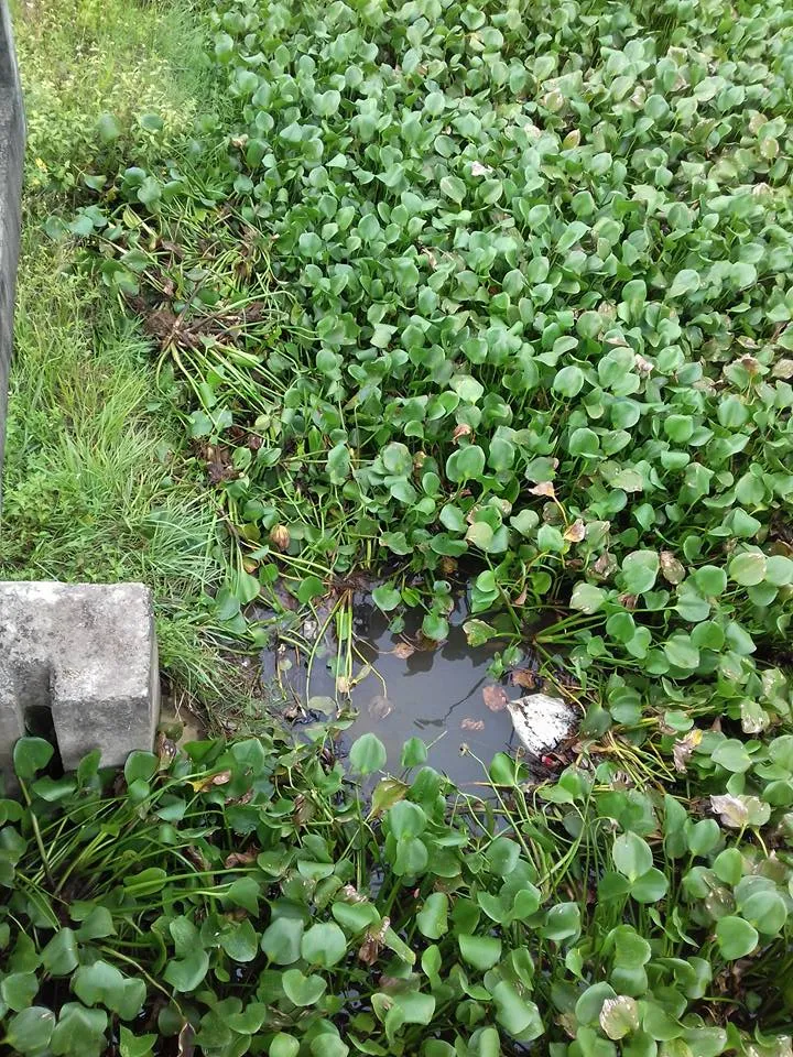 Bắt khẩn cấp nghi phạm giết người, cướp tài sản ảnh 5