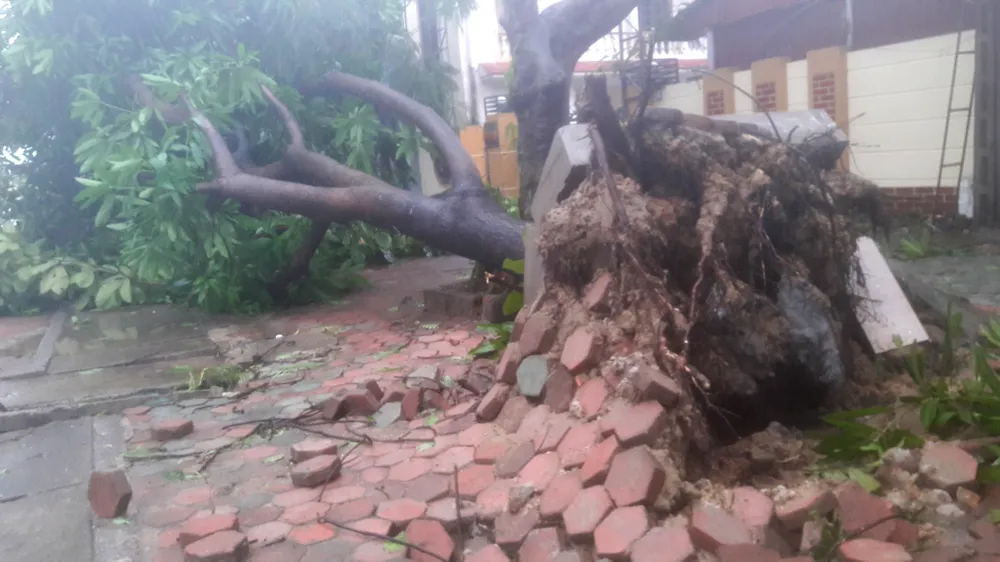 Hà Tĩnh, Nghệ An ngổn ngang sau bão ảnh 24