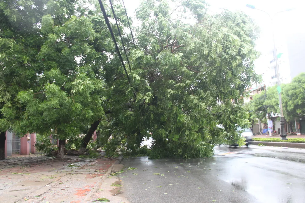 Hà Tĩnh, Nghệ An ngổn ngang sau bão ảnh 16