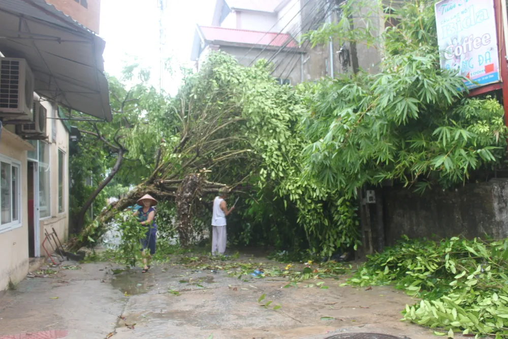 Hà Tĩnh, Nghệ An ngổn ngang sau bão ảnh 13