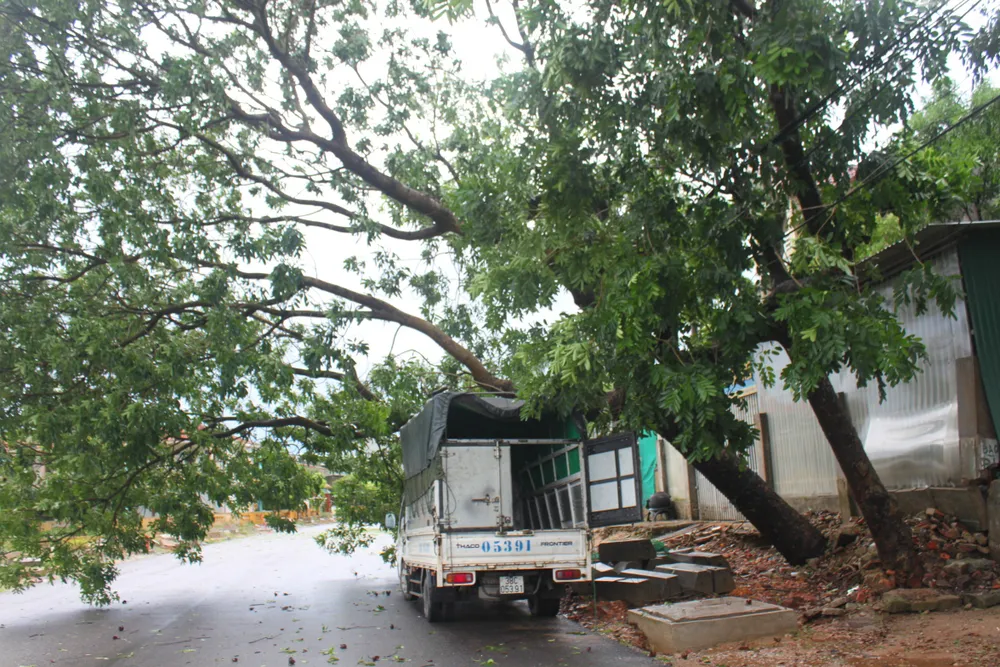 Hà Tĩnh, Nghệ An ngổn ngang sau bão ảnh 21