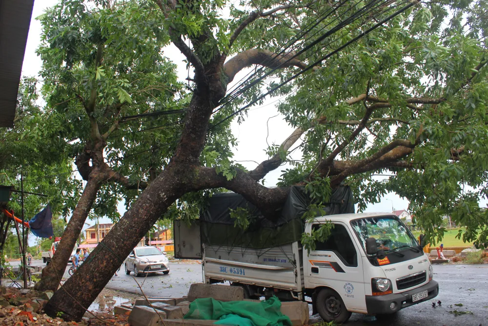 Hà Tĩnh, Nghệ An ngổn ngang sau bão ảnh 20