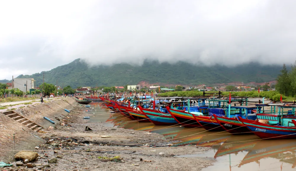 Hầu hết tàu cá ở Hà Tĩnh đã vào âu tránh bão số 4 ảnh 4
