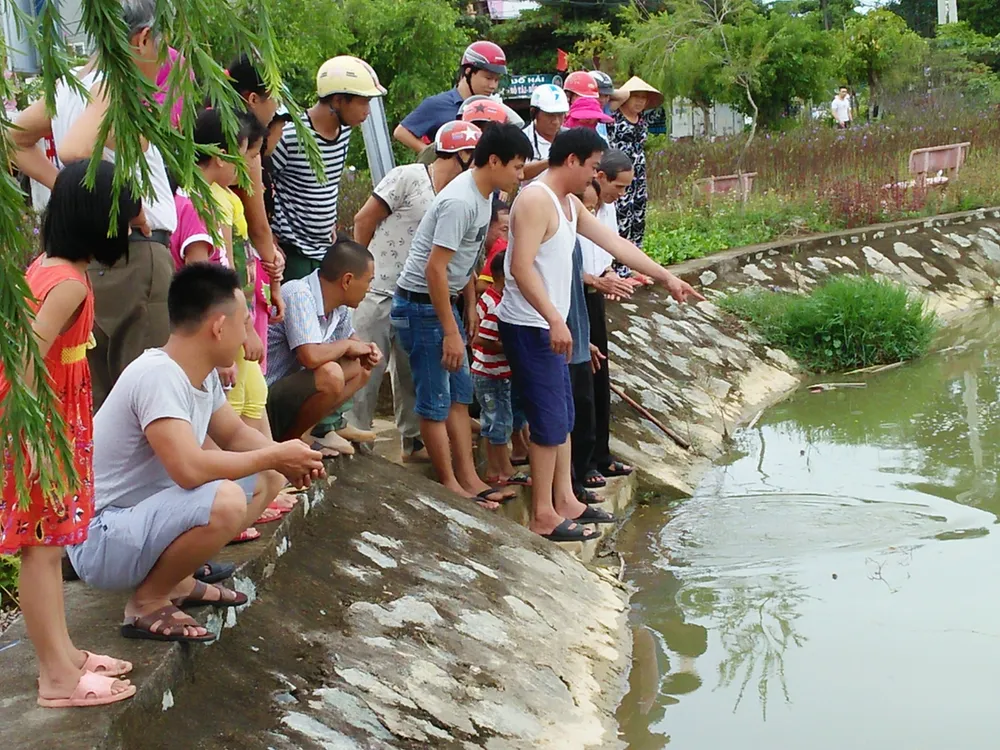 Thả cá thể rùa nặng 7,5kg về môi trường tự nhiên ảnh 2