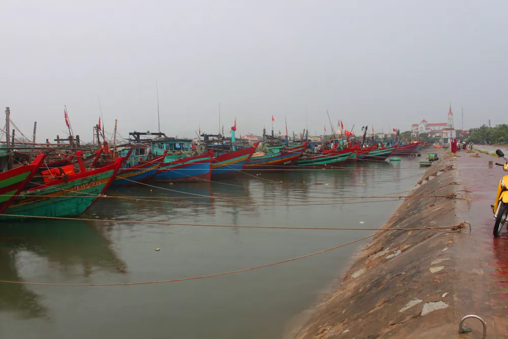 Các tỉnh miền Trung khẩn trương đối phó với bão số 10 ảnh 5