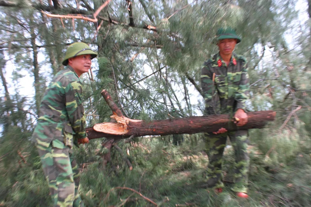 Nỗ lực giúp nhân dân khắc phục hậu quả sau bão số 10 ở Hà Tĩnh ảnh 5