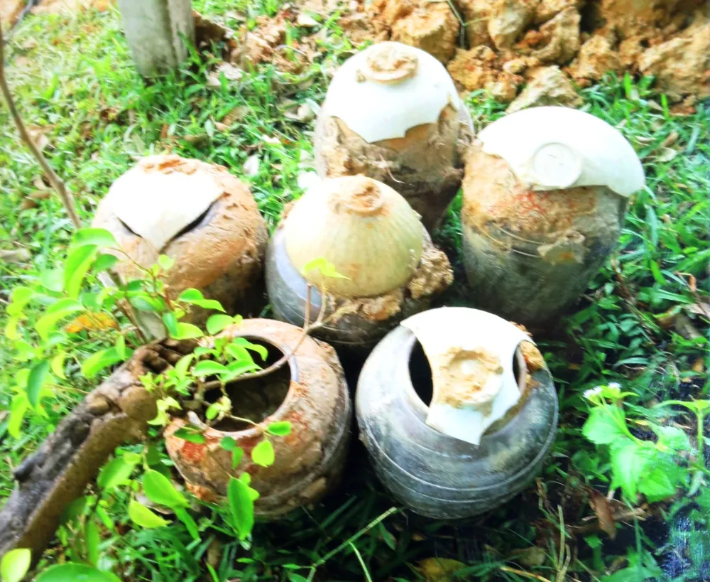 Đào hố chôn cột điện, phát hiện cổ vật ảnh 2