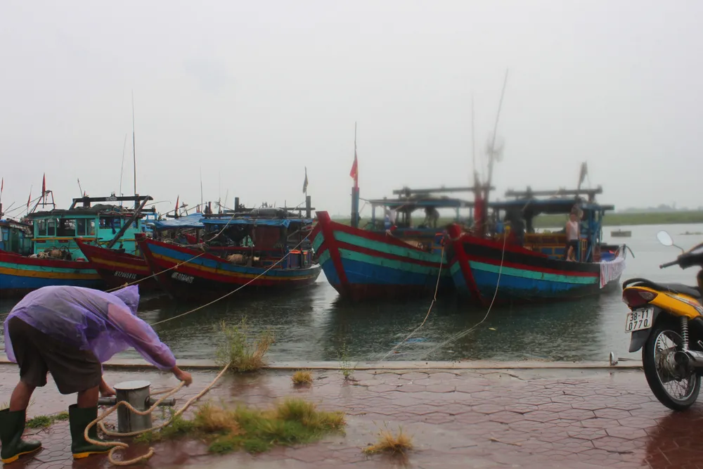 Chủ động ứng phó với diễn biến của áp thấp nhiệt đới ảnh 1