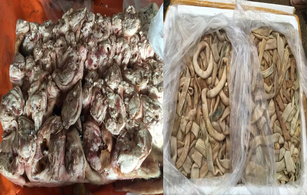 Phạt 70 triệu đồng đối với một chủ xe vận chuyển hàng chục tấn thực phẩm “bẩn“ ảnh 2