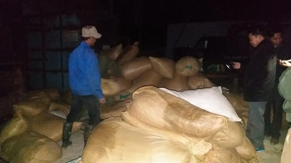 Hà Tĩnh: Lập biên bản yêu cầu dừng xử lý rác trái phép ảnh 1