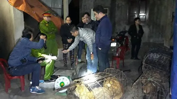 VIDEO: Triệt phá đường dây chuyên trộm và tiêu thụ chó với số lượng lớn ở Hà Tĩnh ảnh 1