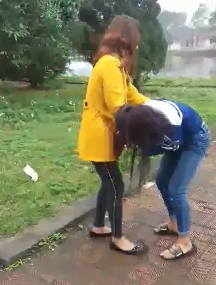 Xác định 2 đối tượng vây đánh một nữ sinh ở Hà Tĩnh ảnh 1