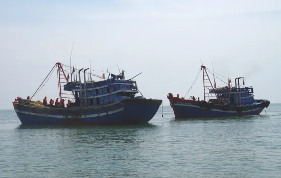 Phát hiện, xử lý nhiều tàu cá khai thác hải sản “tận diệt” ven bờ biển ảnh 2