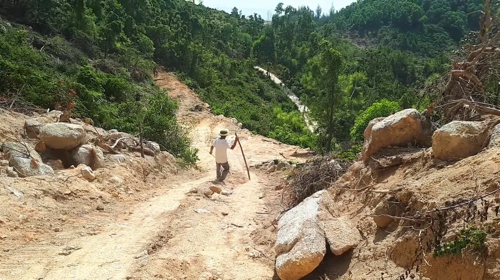 Nắng nóng gay gắt kéo dài ở Hà Tĩnh, nguy cơ cháy rừng cao  ảnh 5