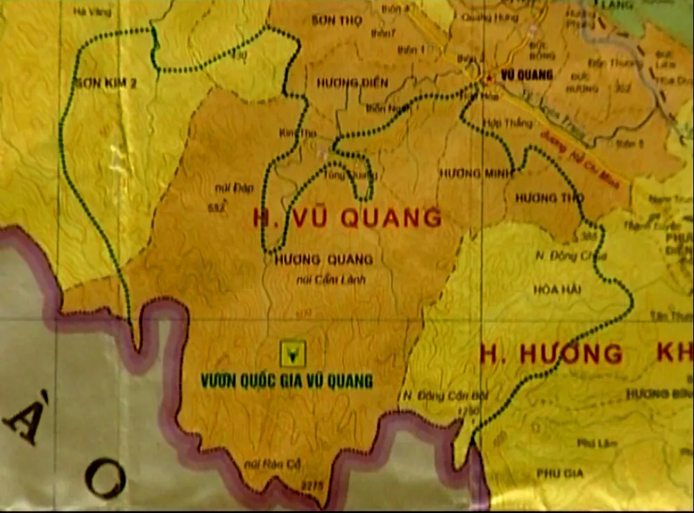 Phát hiện hai loài trà mi hoa vàng tại Vườn Quốc gia Vũ Quang ảnh 2