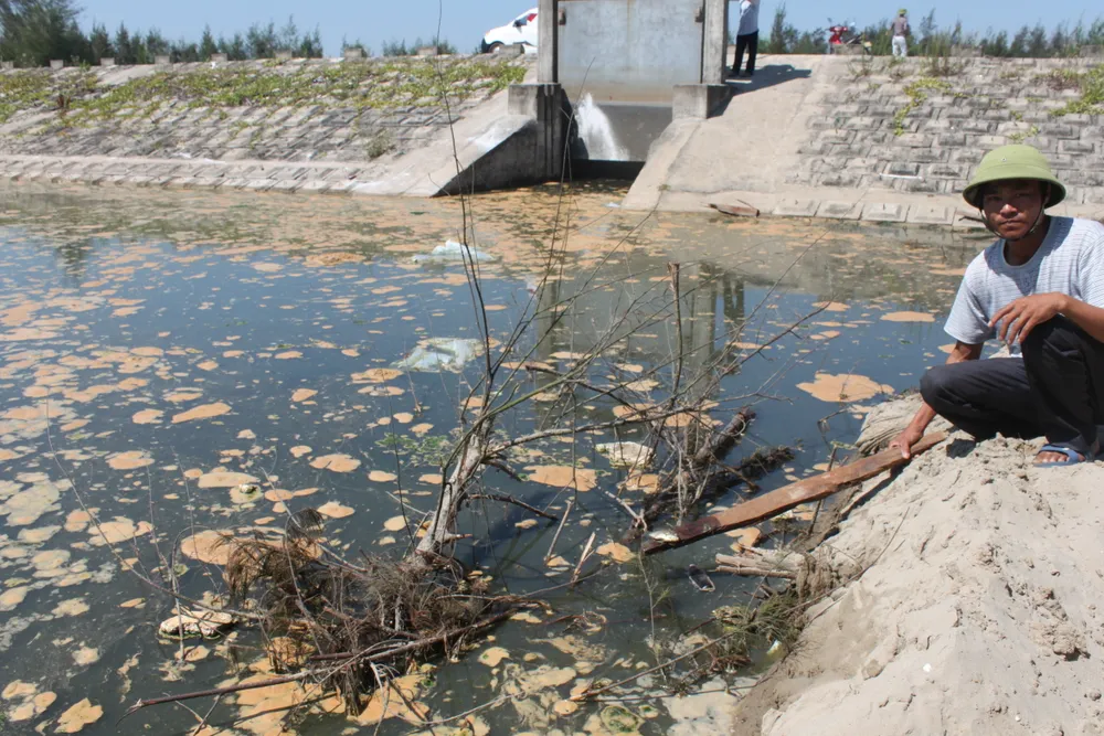 Một doanh nghiệp nuôi tôm xả thải gây ô nhiễm môi trường bị phạt 435 triệu đồng  ảnh 1