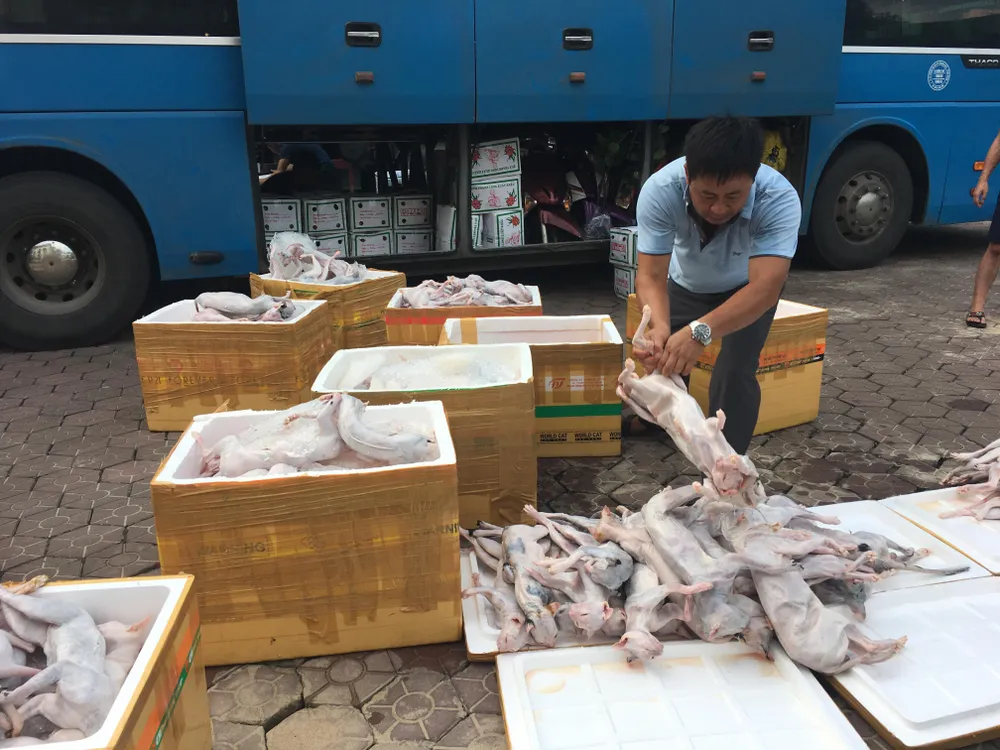 Bắt giữ xe khách vận chuyển hơn 900kg mèo không rõ nguồn gốc ảnh 1