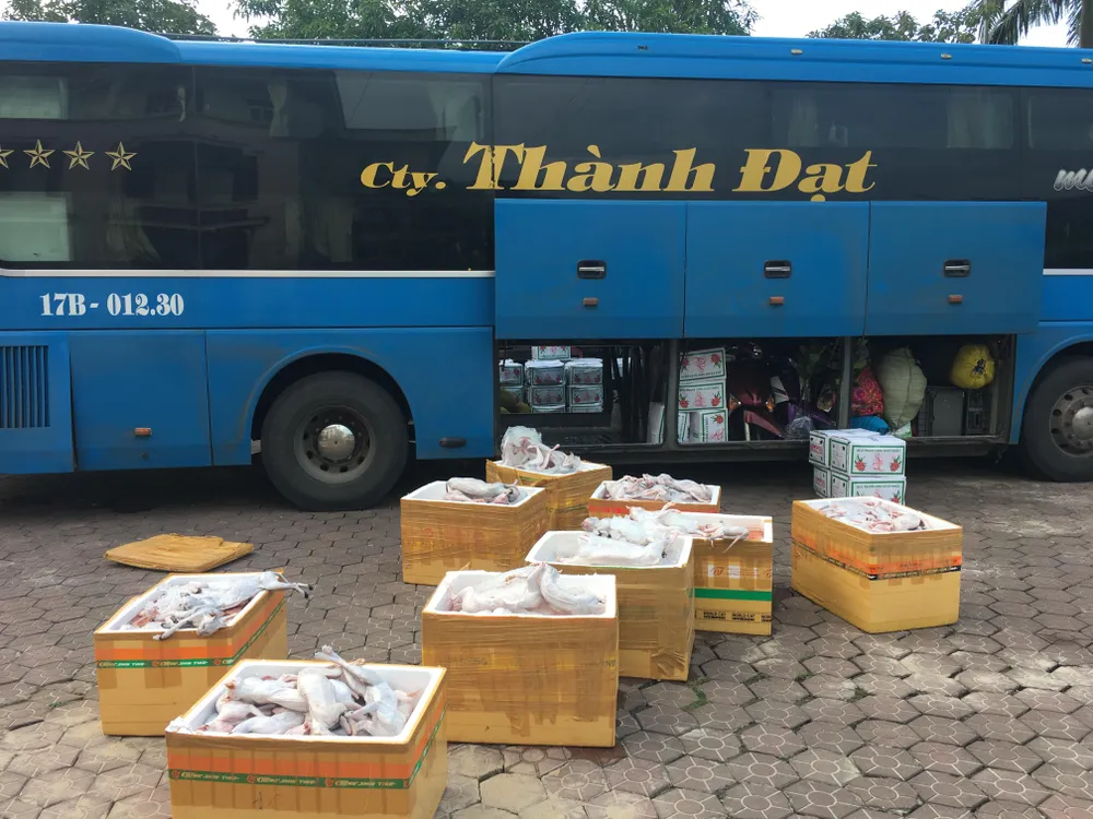 Bắt giữ xe khách vận chuyển hơn 900kg mèo không rõ nguồn gốc ảnh 2