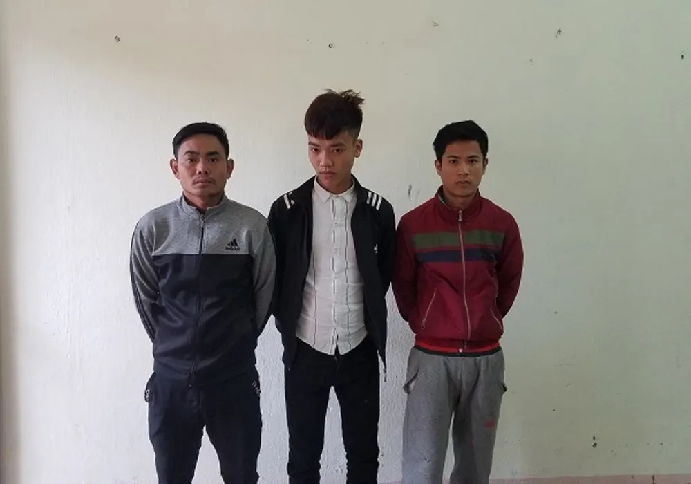 Thuê xe ô tô tải để trộm 8 con trâu ảnh 2