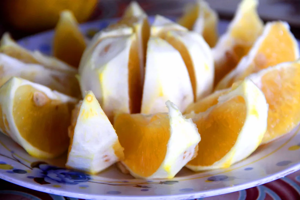 Cam trĩu quả ở Hà Tĩnh chờ xuất bán dịp Tết Nguyên đán ảnh 15