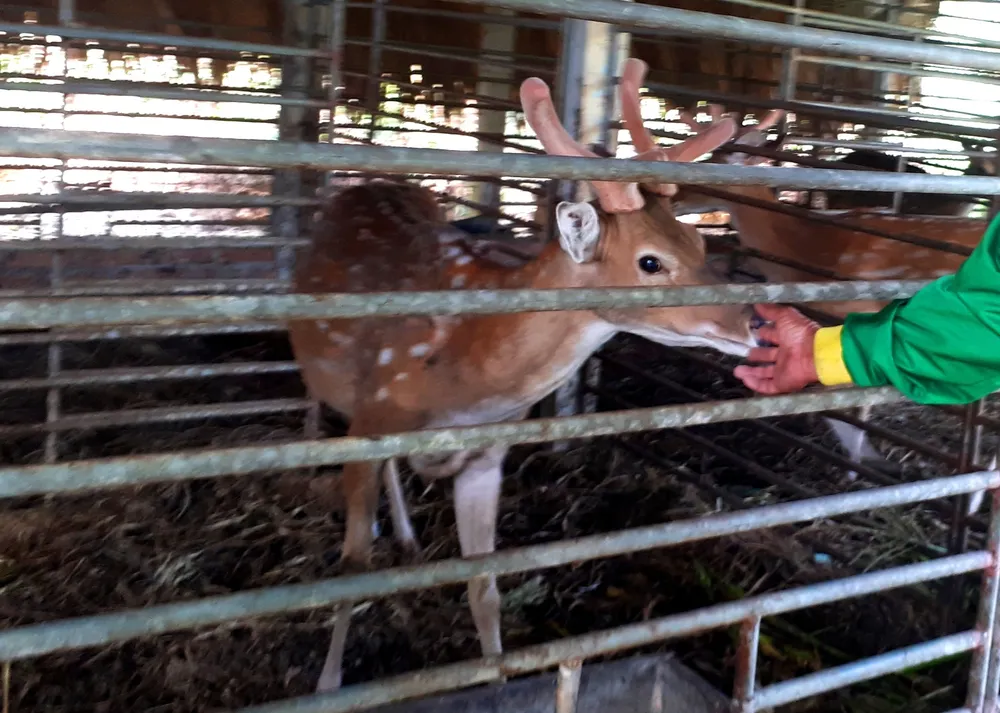 Người dân miền Trung phấn khởi được mùa cam và “lộc biển”  ảnh 10