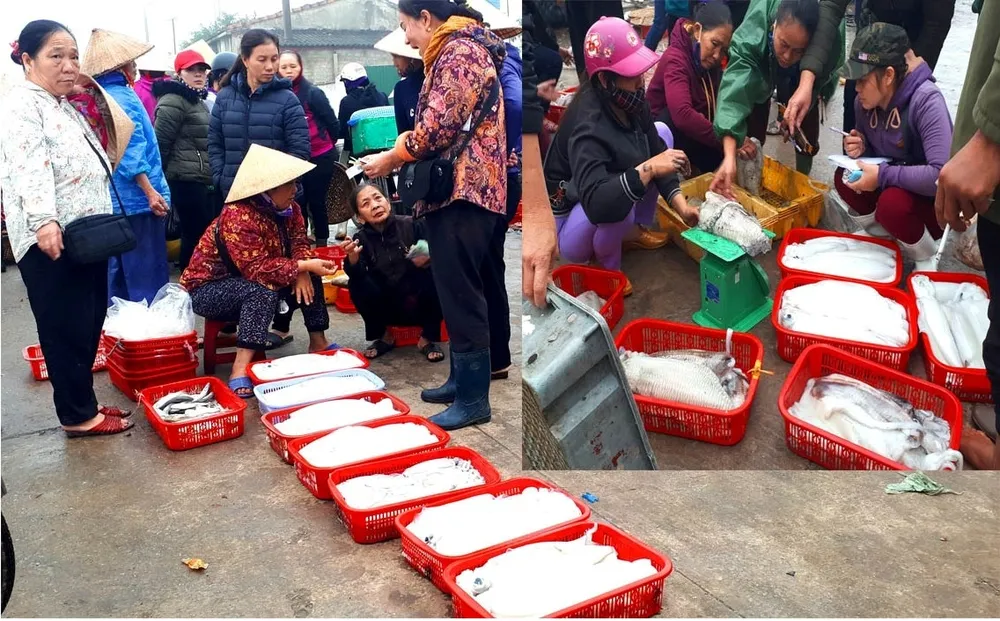 Người dân miền Trung phấn khởi được mùa cam và “lộc biển”  ảnh 2