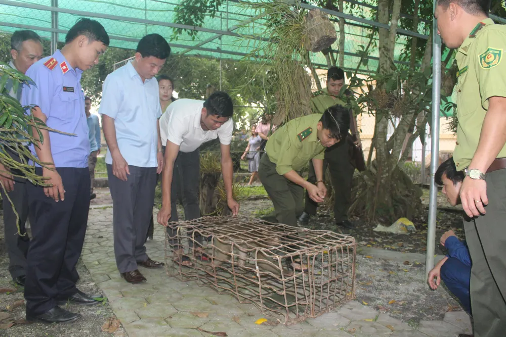 Vườn Quốc gia Vũ Quang tiếp nhận cá thể khỉ mốc quý hiếm ảnh 1