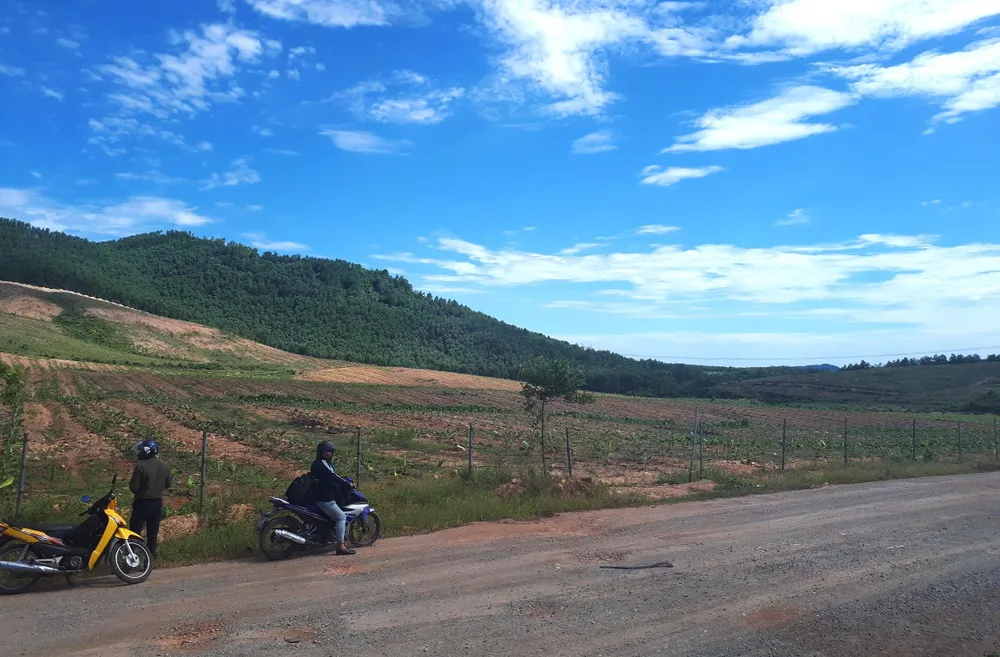 Thực hiện định giá tài sản cố định hiện hữu Công ty CP Chăn nuôi Bình Hà ảnh 1