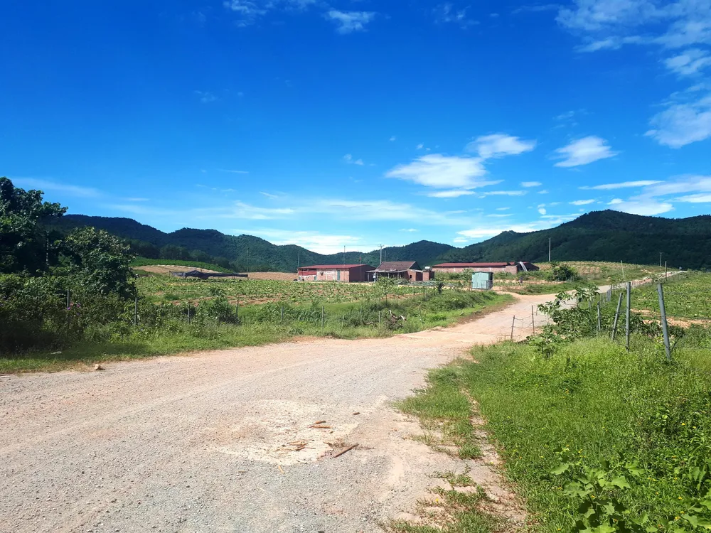 Thực hiện định giá tài sản cố định hiện hữu Công ty CP Chăn nuôi Bình Hà ảnh 2