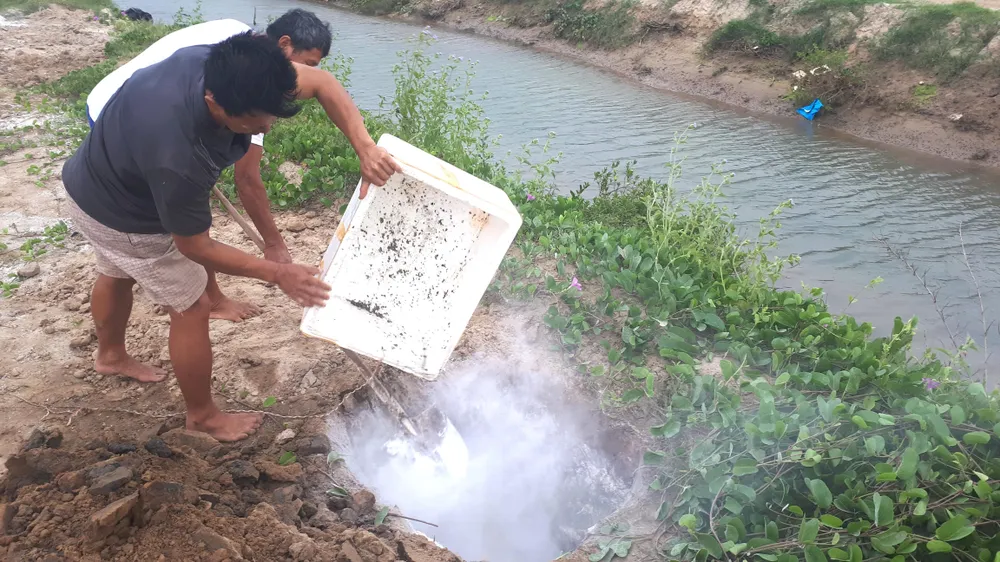 Xót lòng nhìn cảnh dân vớt cả tấn ốc hương đi tiêu hủy ảnh 3