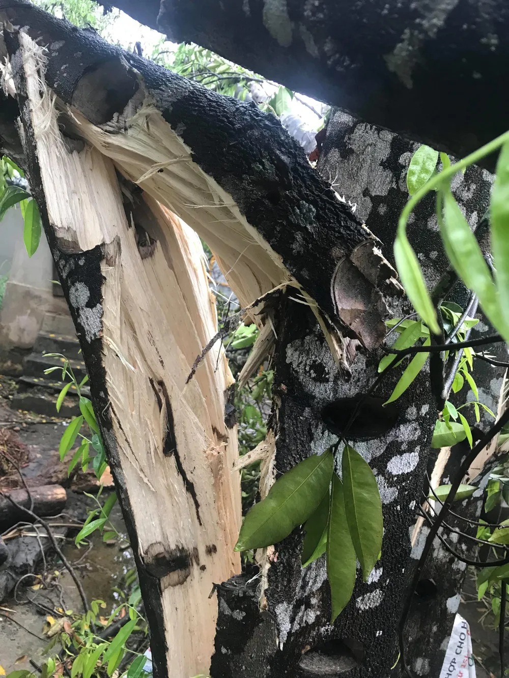 Hà Tĩnh tập trung khắc phục hậu quả lốc xoáy ảnh 10