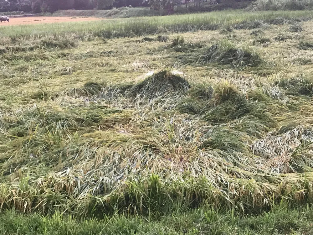 Hà Tĩnh tập trung khắc phục hậu quả lốc xoáy ảnh 11