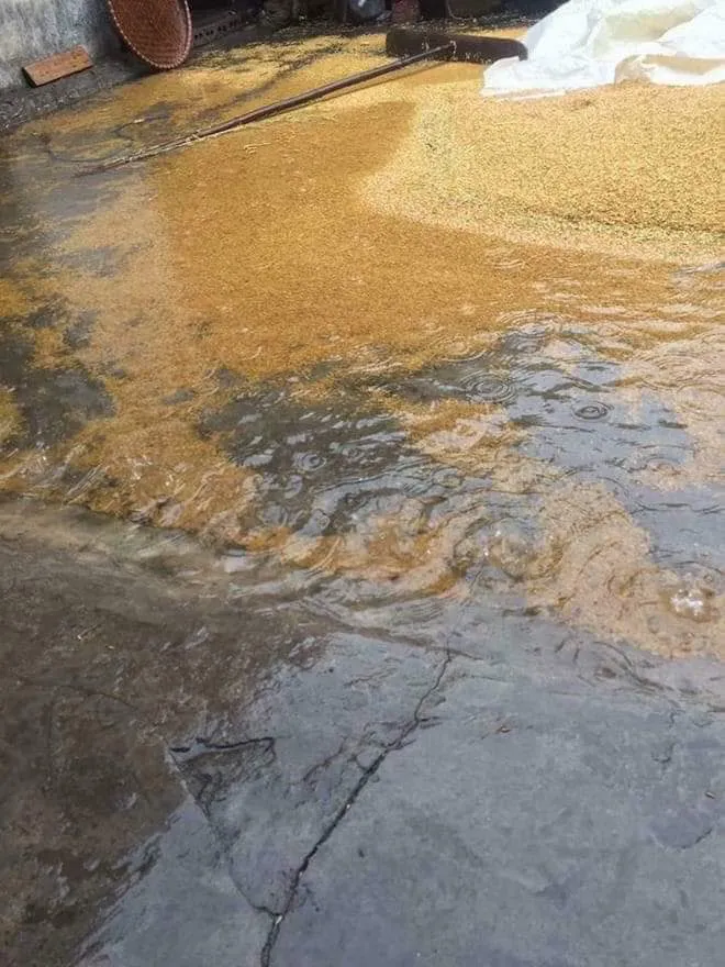 Hà Tĩnh tập trung khắc phục hậu quả lốc xoáy ảnh 20