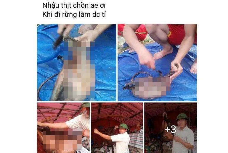 Xác minh nhóm người giết động vật nghi chồn bay rồi đăng lên Facebook ảnh 1
