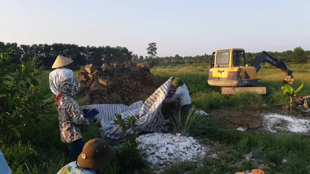 Phát hiện dịch tả heo châu Phi ở Hà Tĩnh  ảnh 1