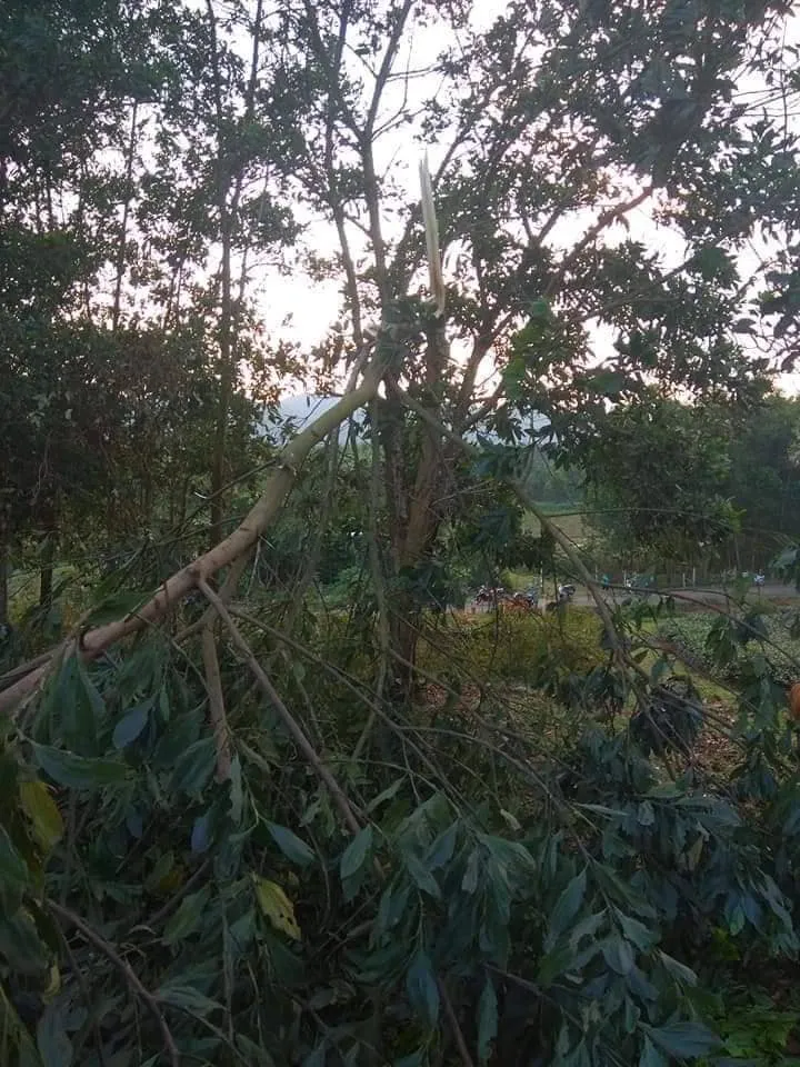 Hà Tĩnh: Bất ngờ xuất hiện mưa kèm lốc xoáy khiến nhiều nhà dân bị tốc mái ảnh 10