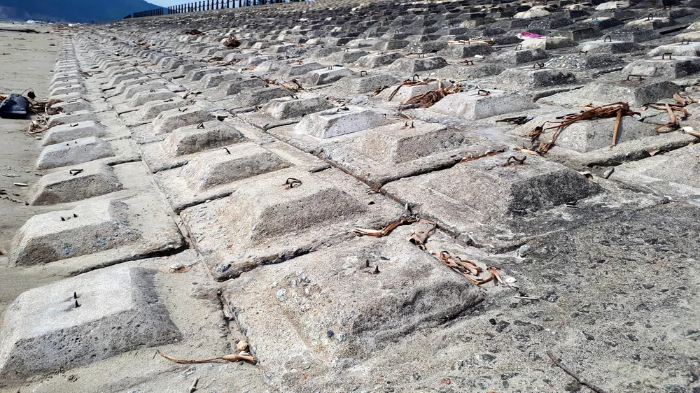 Clip: Bẫy chông ở Khu du lịch biển Xuân Hải ảnh 4