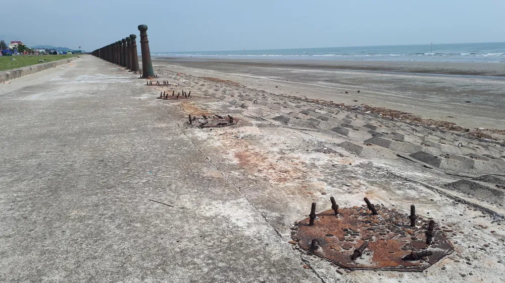 Clip: Bẫy chông ở Khu du lịch biển Xuân Hải ảnh 10