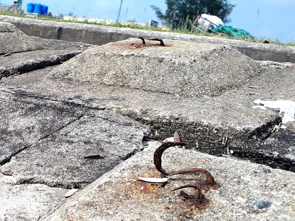 Clip: Bẫy chông ở Khu du lịch biển Xuân Hải ảnh 3