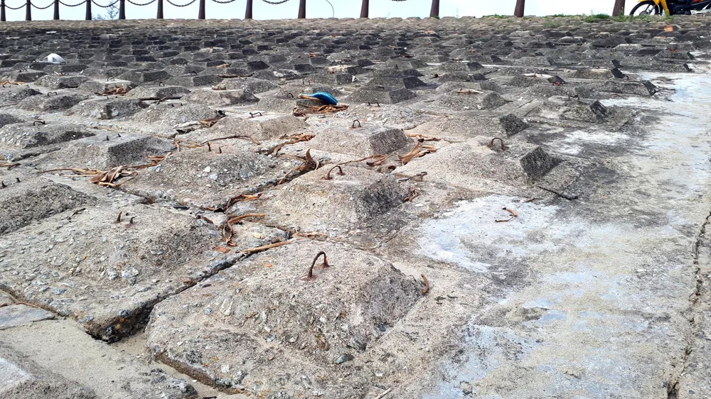 Clip: Bẫy chông ở Khu du lịch biển Xuân Hải ảnh 7