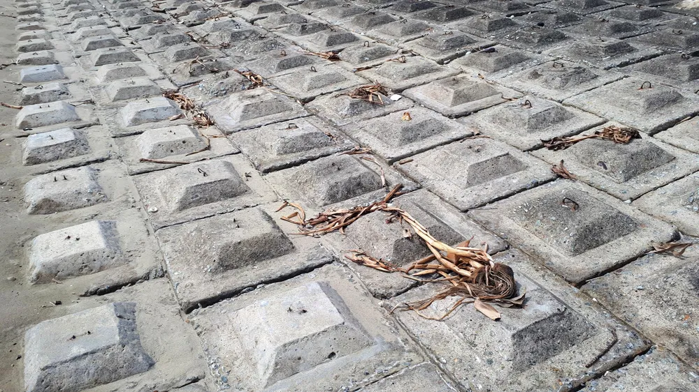 Clip: Bẫy chông ở Khu du lịch biển Xuân Hải ảnh 8