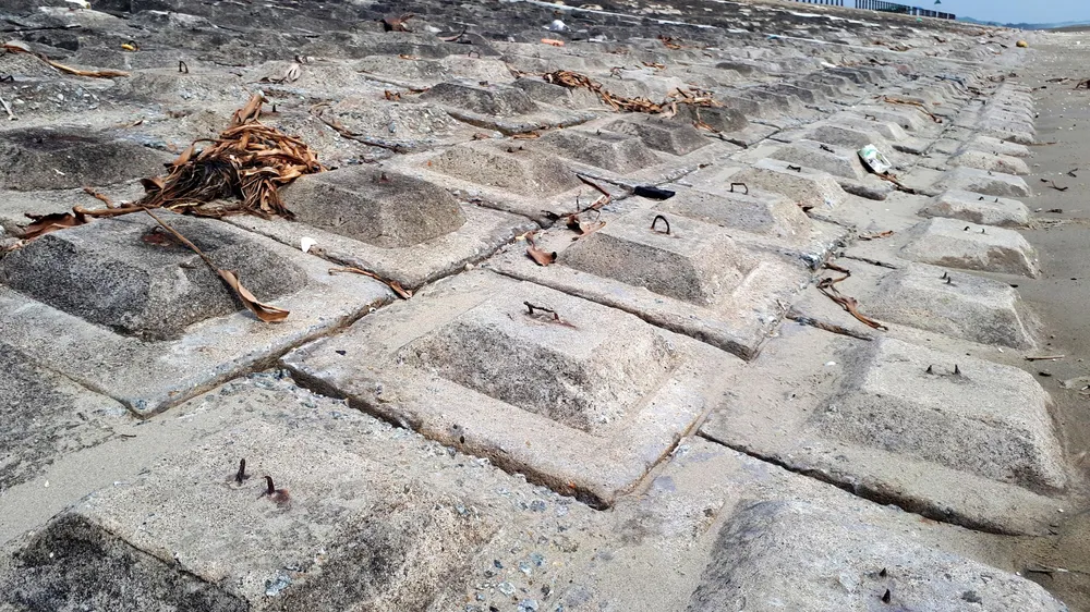 Clip: Bẫy chông ở Khu du lịch biển Xuân Hải ảnh 5