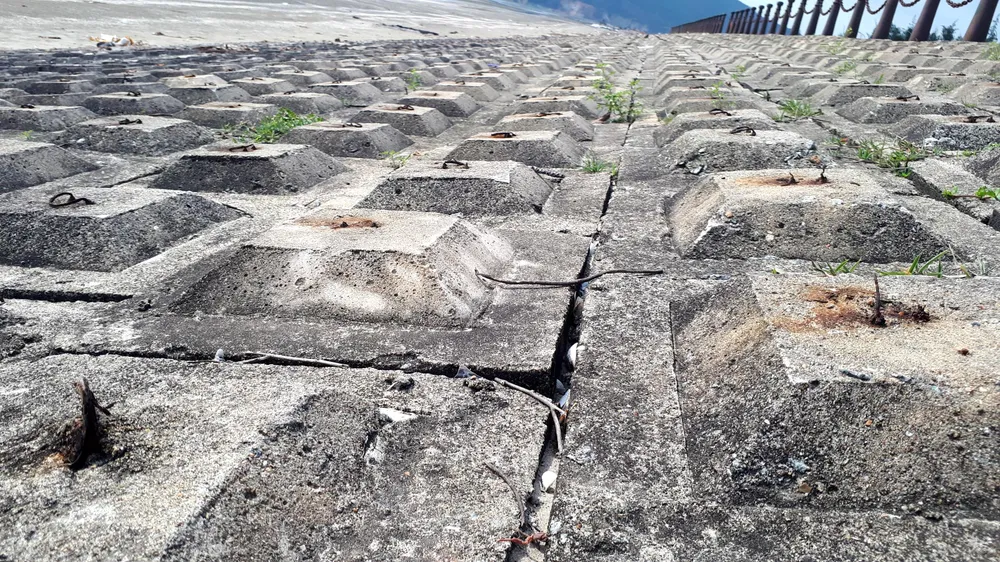 Clip: Bẫy chông ở Khu du lịch biển Xuân Hải ảnh 1