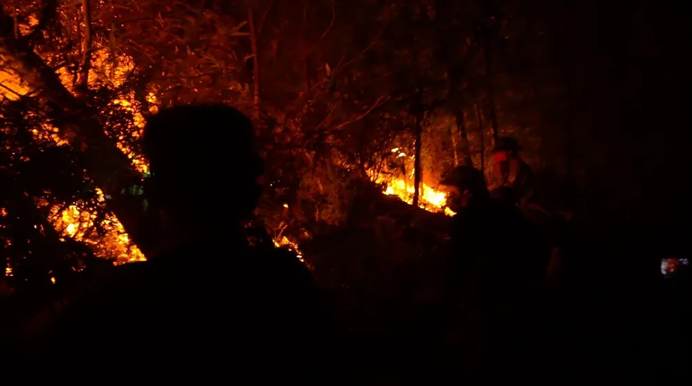 Khống chế đám cháy rừng trong đêm ở Hà Tĩnh ảnh 3