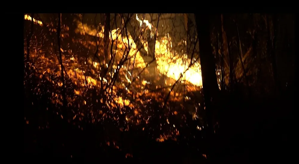 Khống chế đám cháy rừng trong đêm ở Hà Tĩnh ảnh 4