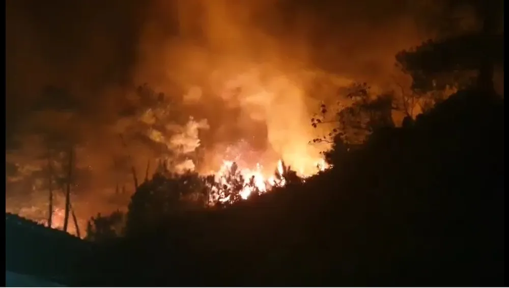 Khống chế đám cháy rừng trong đêm ở Hà Tĩnh ảnh 5