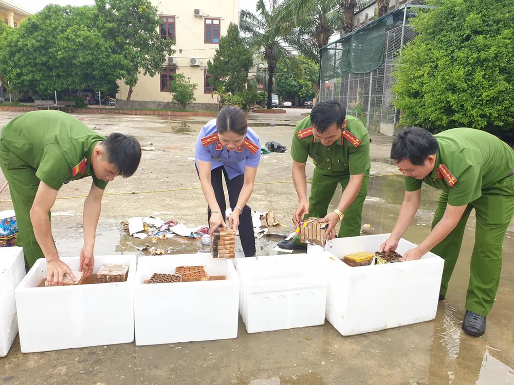 Tiêu hủy hàng trăm khẩu súng, đao kiếm các loại ảnh 11