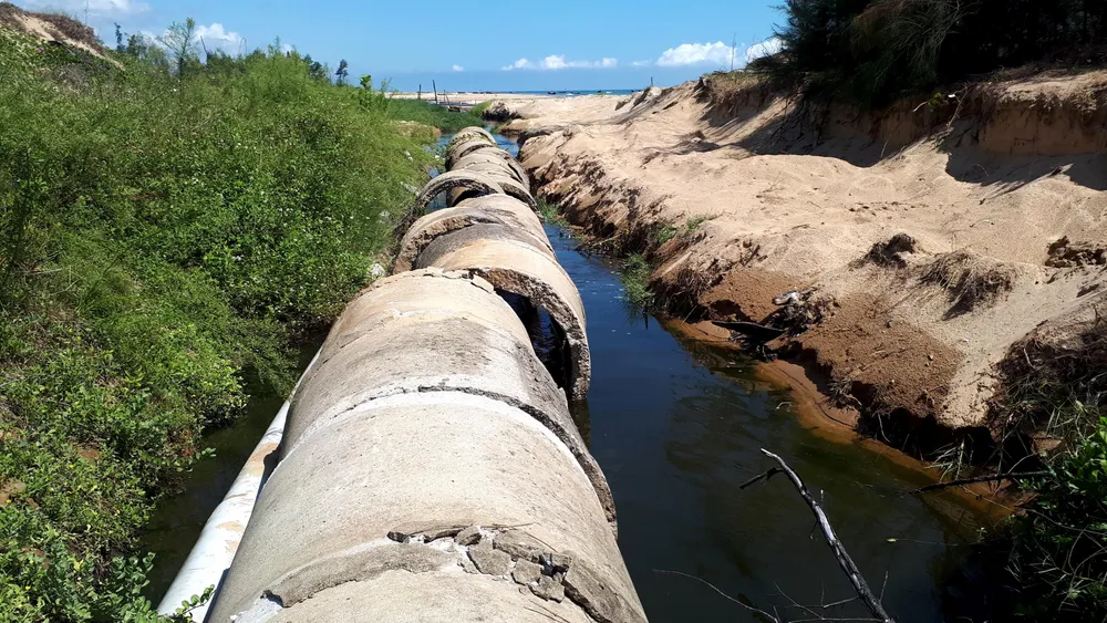Mùi hôi thối bên cơ sở nuôi tôm xả nước bẩn ra môi trường ảnh 2