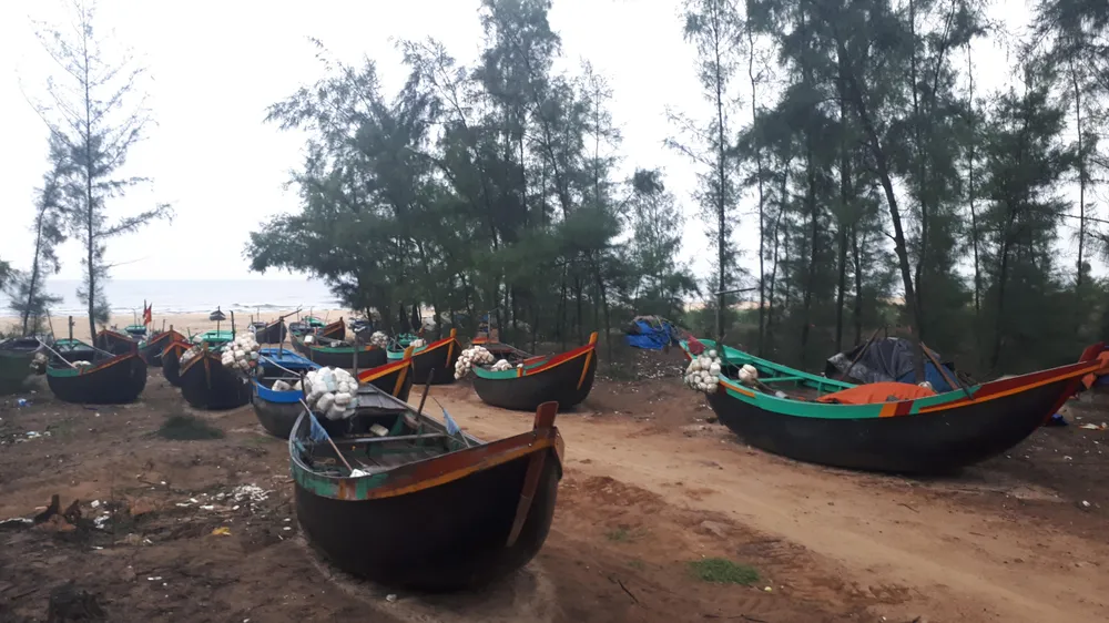 Các tỉnh miền Trung nỗ lực ứng phó bão số 4  ảnh 10